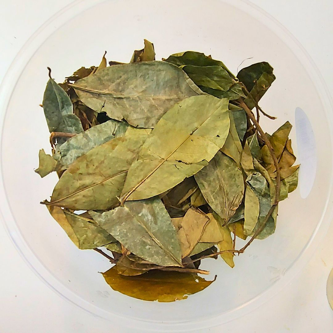 Soursop Leaves 20g (40-45 leaves)