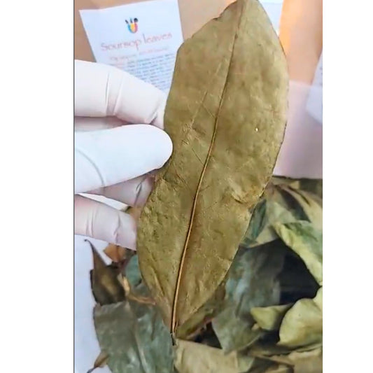 Soursop Leaves 20g (40-45 leaves)