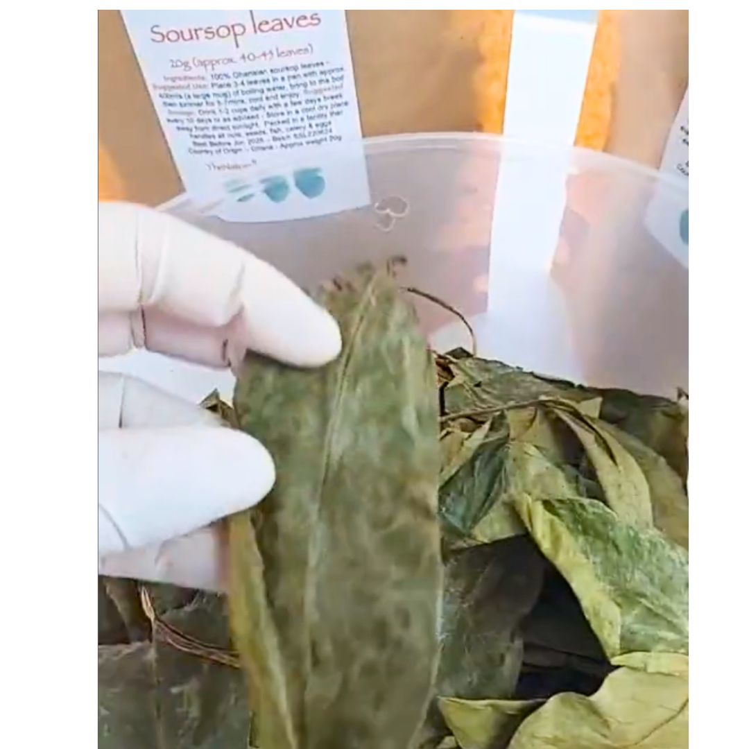 Soursop Leaves 20g (40-45 leaves)